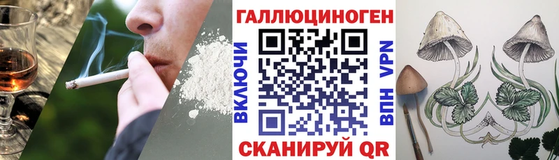 где можно купить   Дрезна  kraken как зайти  Галлюциногенные грибы прущие грибы 